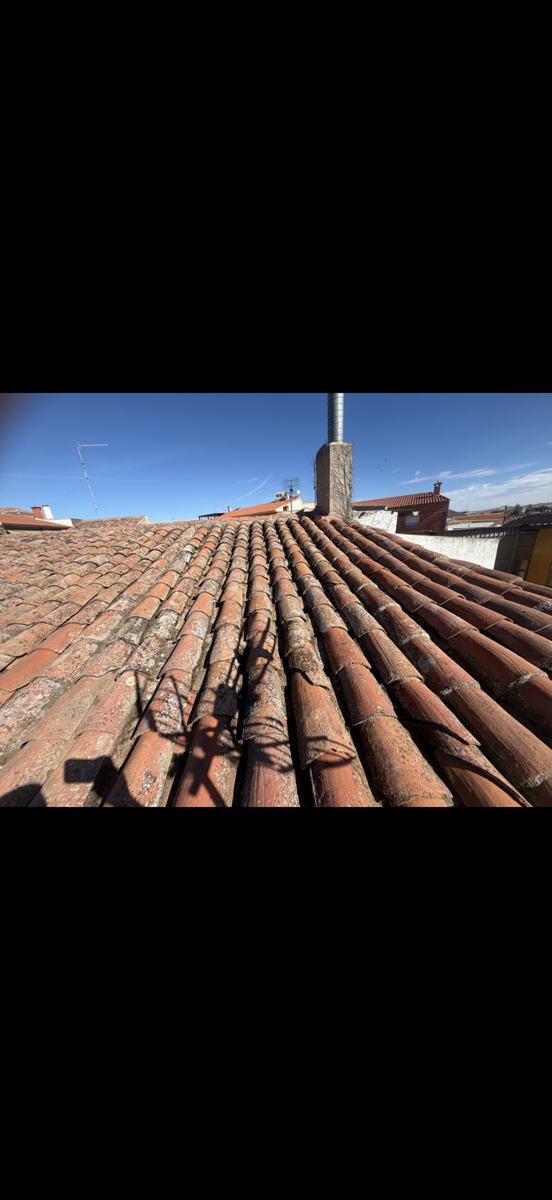 Cubiertas y tejados · Limpieza y mantenimiento
