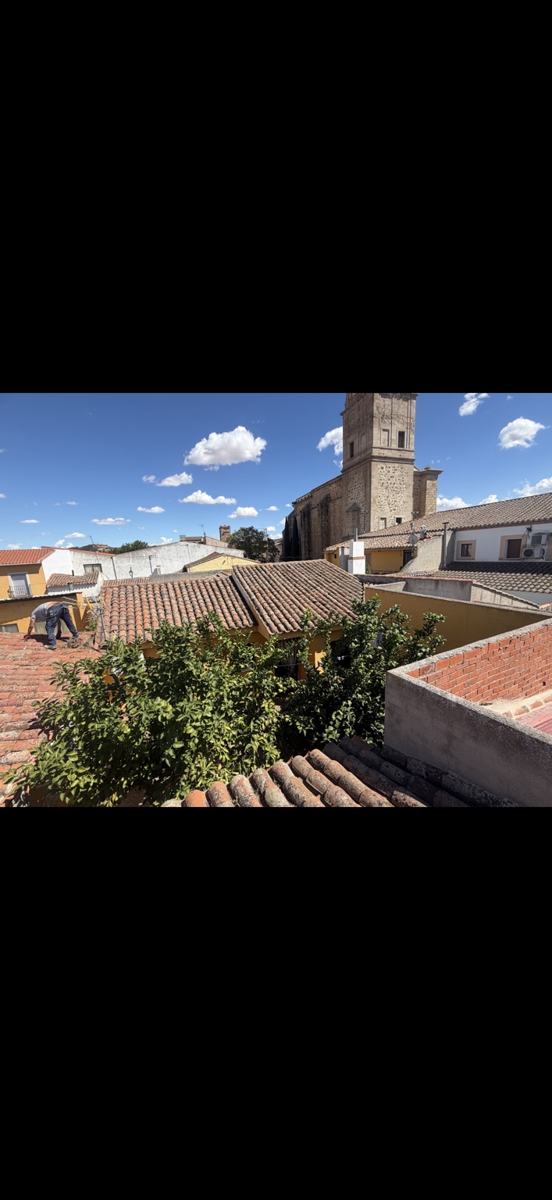 Cubiertas y tejados · Limpieza y mantenimiento